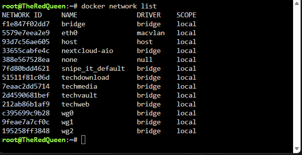 docker-networks-intro-1.png